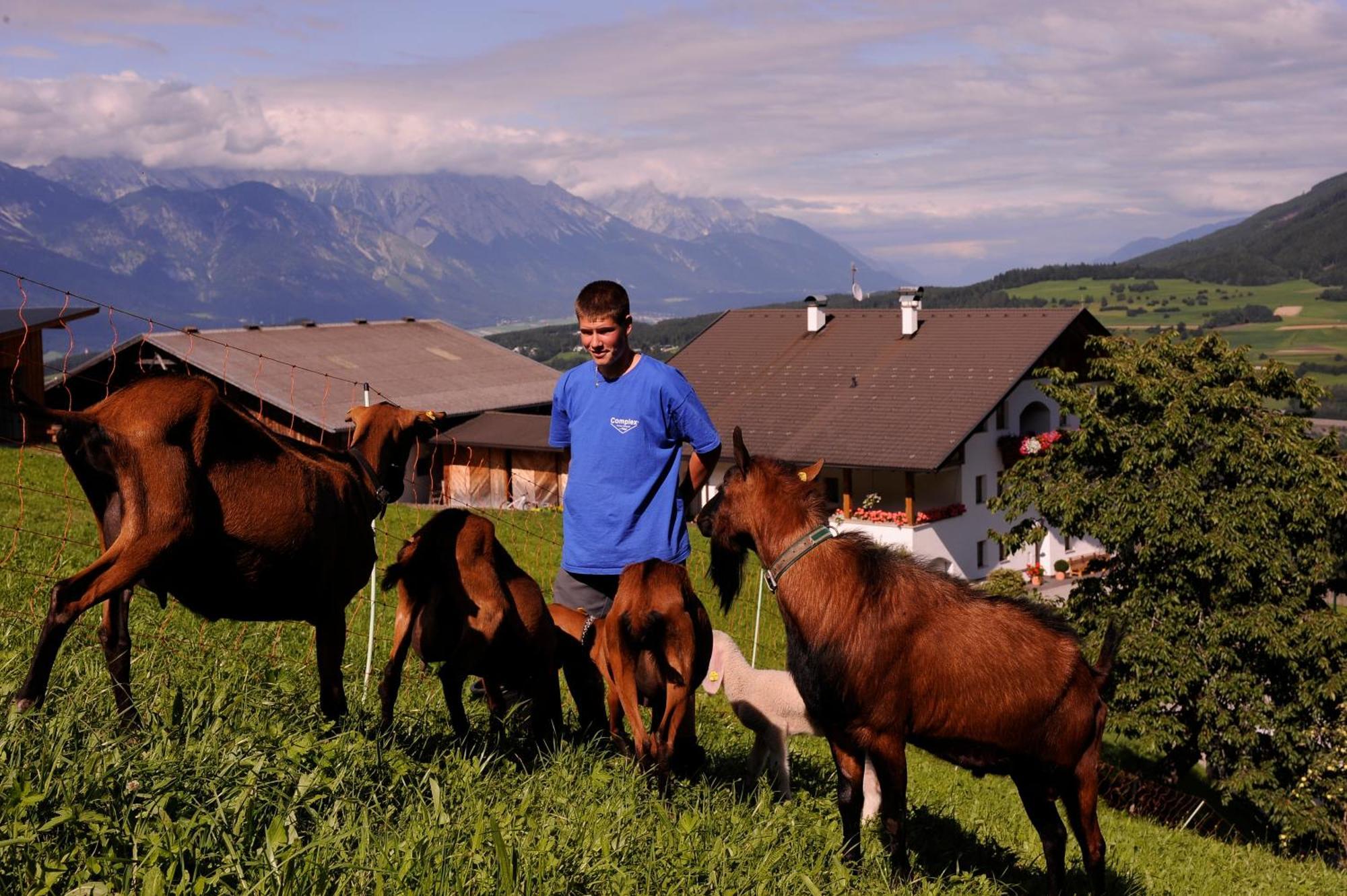 Agroturismo Hoarachhof *